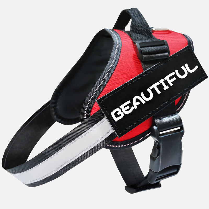 רצועה זוהרת לכלב - בטיחות ונראות מקסימלית בלילה