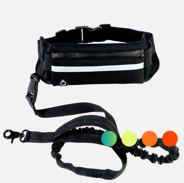 Hands-Free Dog Leash- belt with a storage pocket