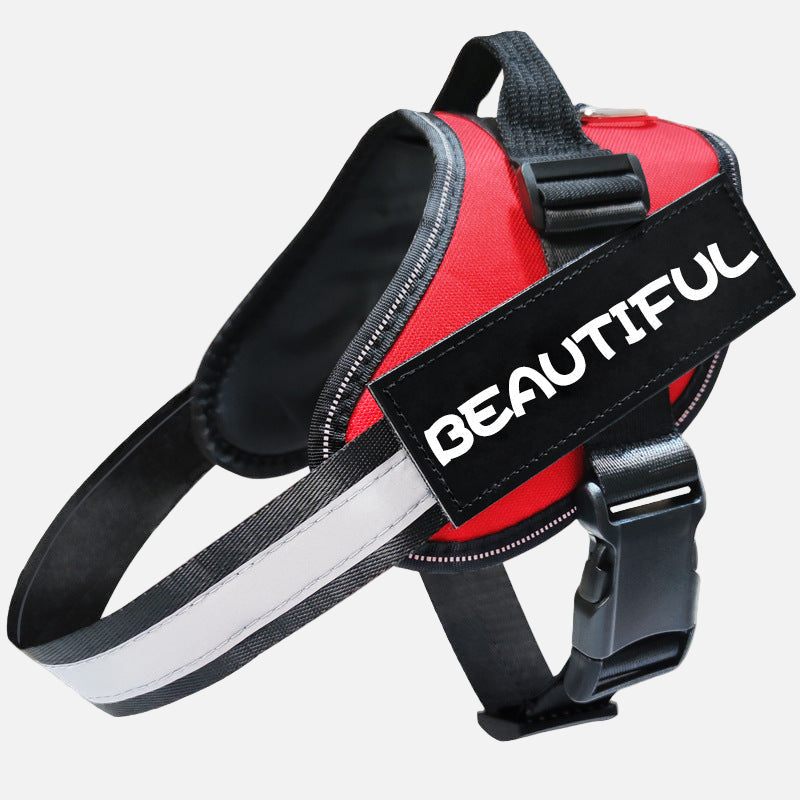 רצועה זוהרת לכלב - בטיחות ונראות מקסימלית בלילה