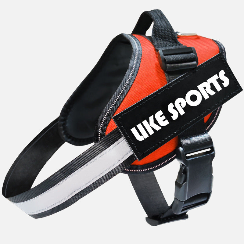 רצועה זוהרת לכלב - בטיחות ונראות מקסימלית בלילה