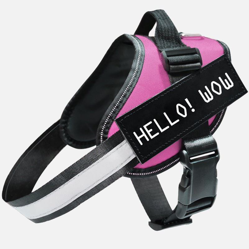 רצועה זוהרת לכלב - בטיחות ונראות מקסימלית בלילה