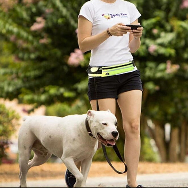 חגורת מותן לכלב עם פאוץ' מובנה לאחסון טלפון ומפתחות בזמן הליכה