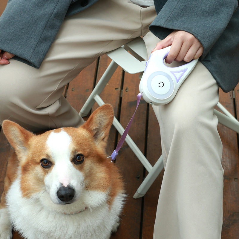 Safe Dog Leash- Retractable, Strong, Safe & Stylish