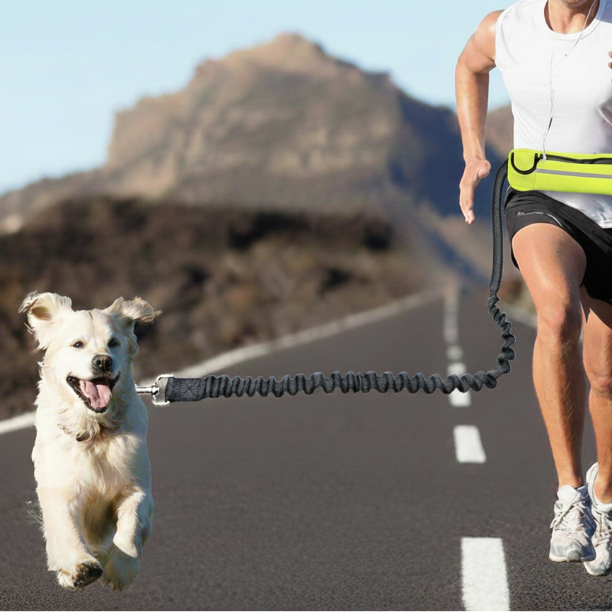 חגורת מותן לכלב עם פאוץ' מובנה לאחסון טלפון ומפתחות בזמן ריצה