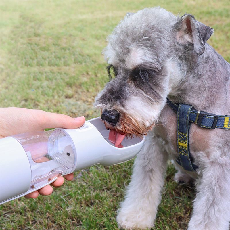 travel dog water bottle- just click, pour, and let your furry friend drink fresh water anytime