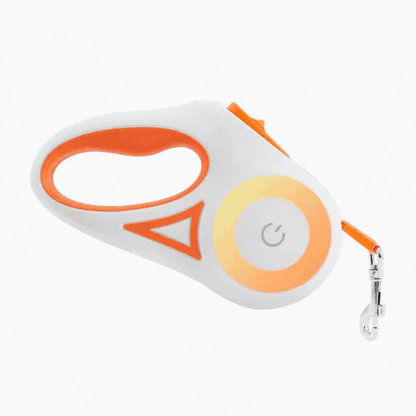 Safe Dog Leash- Retractable, Strong, Safe & Stylish